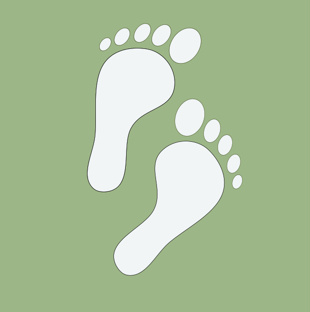Website_Footprint